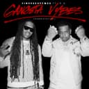 Gangsta Vybes (Gangstafied) [feat. B.G.] by Finesse2tymes