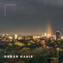 Urban Oasis by Nighthawks Revisited