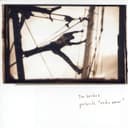 Radio Amor by Tim Hecker