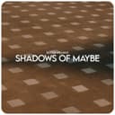 Shadows of Maybe by Baxter Williams